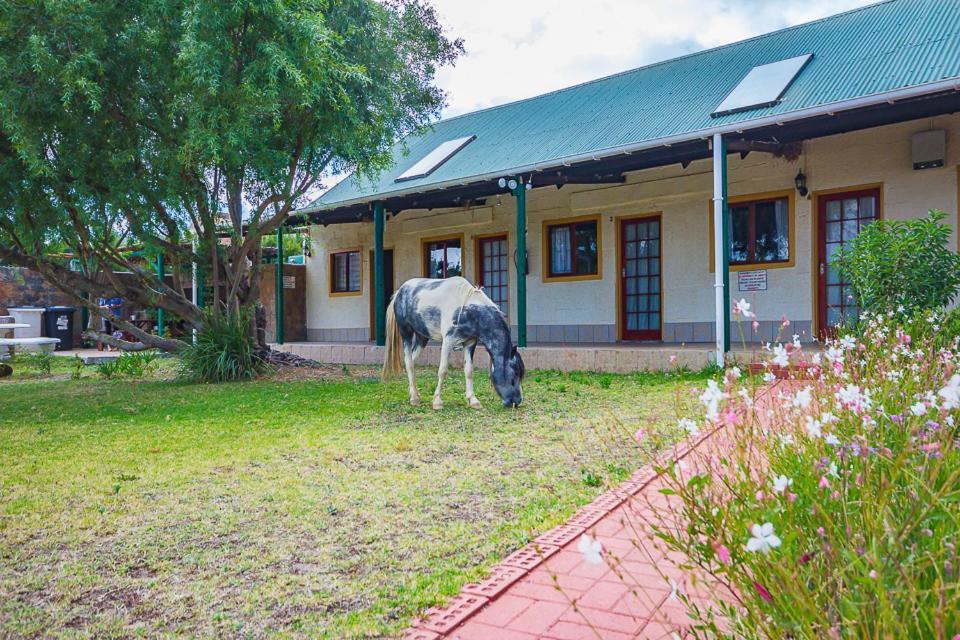 Kingfisher Hollow Gordons Bay Exterior photo